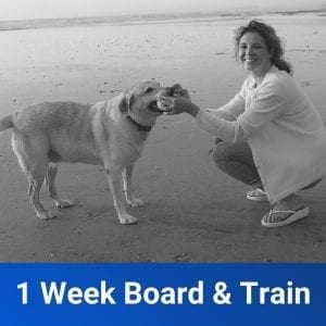 1 Week Freedom Board and Train